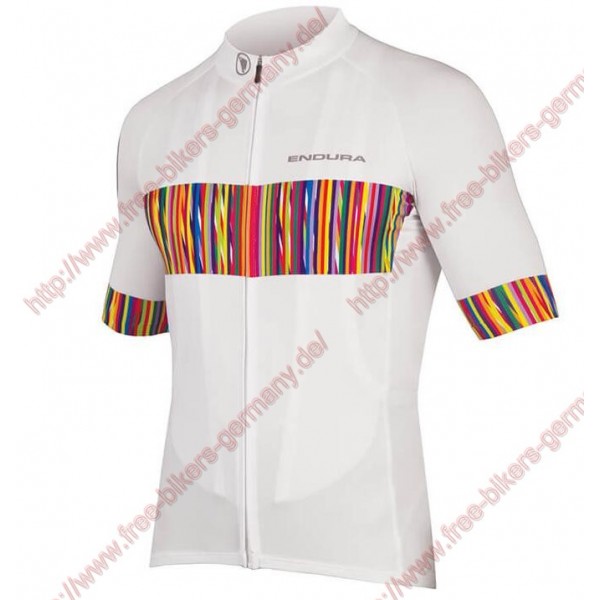 Radsport ENDURA Graphics Pinstripe Trikot Kurzarm