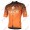 Profiteam 2018 Bianchi Milano Conca orange Trikot Kurzarm 83461EF