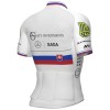 Bekleidung Herren Ale ATT Investments 2024 PRR trikot-Slowakischer Meister