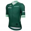 Bekleidung Herren Trikot Santini Grün Tour de France 2025 Offiziell