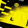 Bekleidung Herren Team Visma Lease a bike 2025 The Wingbeat trikot