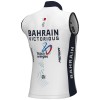 Bekleidung Herren Ale Bahrain Victorious 2025 wind weste