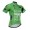 2015 Tour De France Radtrikot Kurzarm Grün QATQ763