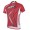 2014 Fox Bike Team Radtrikot Kurzarm Rot CFZZ204