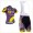 2016 Direct Energie purple Fahrradbekleidung Satz Fahrradtrikot Kurzarm Trikot und Kurz Trägerhose GADK538