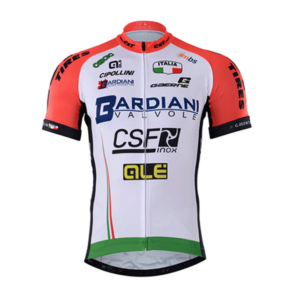 2017 BARDIANI CSF Radtrikot Kurzarm 911BINN