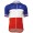 FDJ Pro Team 2017 Tenue Championnat Francais Radtrikot Kurzarm 486CVEH