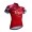2017 KATUSHA Alpecin Radtrikot Kurzarm 122AACE